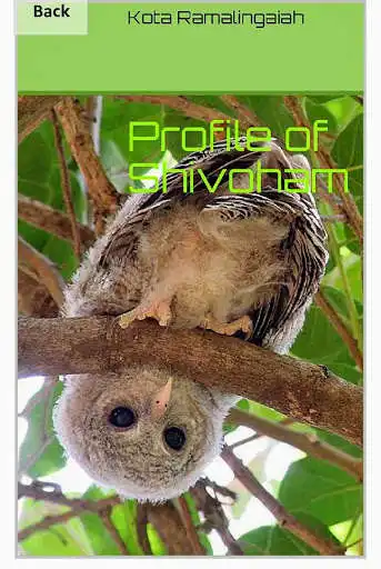 Play Shivoham App  and enjoy Shivoham App with UptoPlay