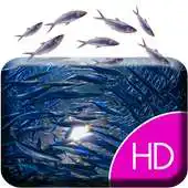 Free play online Shoals of fish Live Wallpaper APK