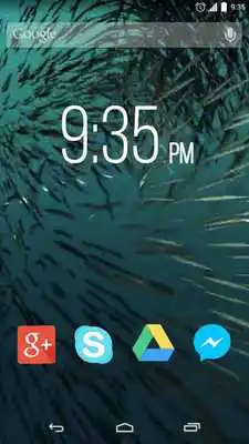 Play Shoals of fish Live Wallpaper