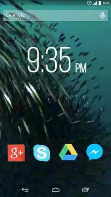Play Shoals of fish Live Wallpaper
