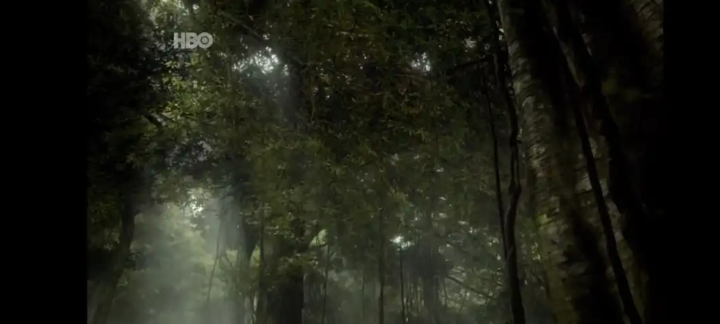 Play Shomiru - TV as an online game Shomiru - TV with UptoPlay