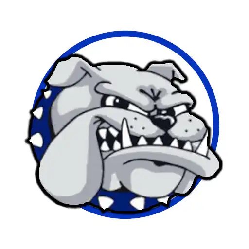 Play Shoop Academy APK