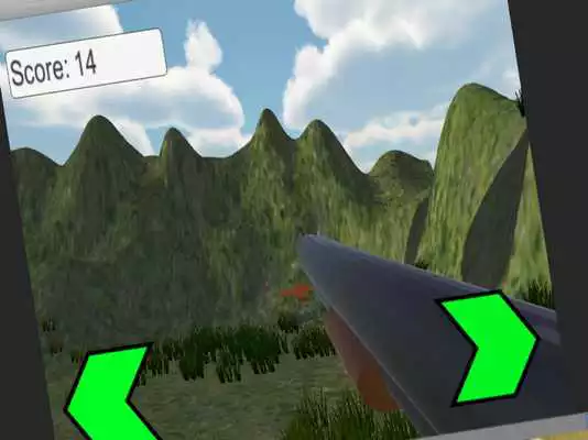Play Shotgun Bird Hunting 3D
