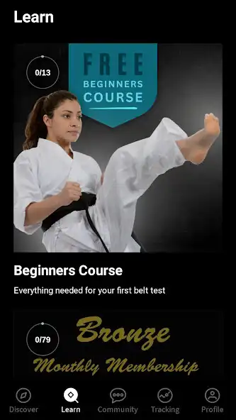 Play Shotokan Bites as an online game Shotokan Bites with UptoPlay