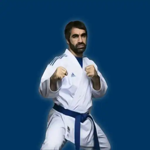 Play Shotokan Karate WKF APK