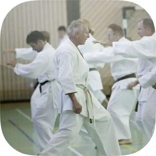 Play Shotokan-Schmiede APK Play Shotokan-Schmiede APK