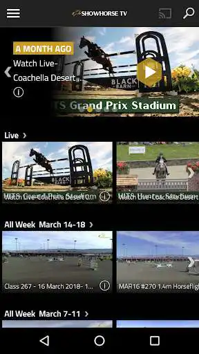 Play Showhorse TV as an online game Showhorse TV with UptoPlay