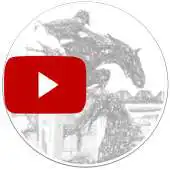 Free play online Show Jumping Videos APK