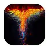 Free play online Showy bird live wallpaper APK Free play online Showy bird live wallpaper APK