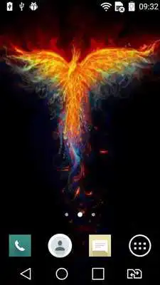Play Showy bird live wallpaper