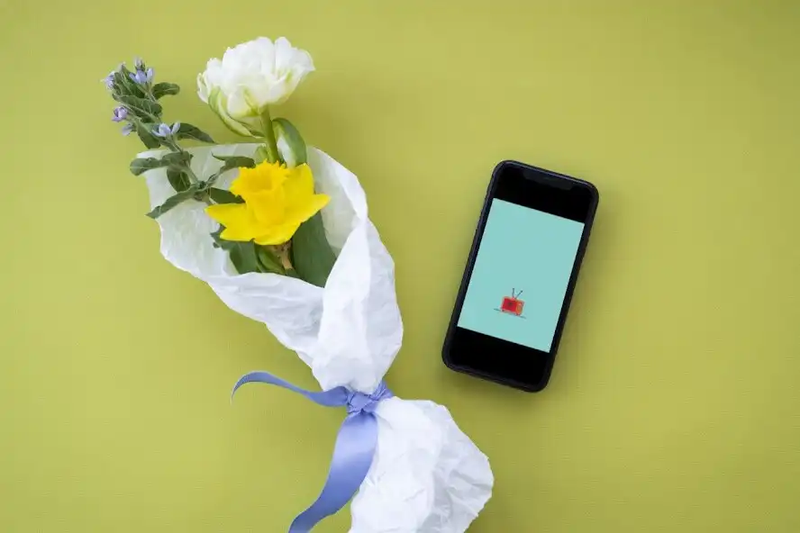 Play Shqip kanale Live TV as an online game Shqip kanale Live TV with UptoPlay