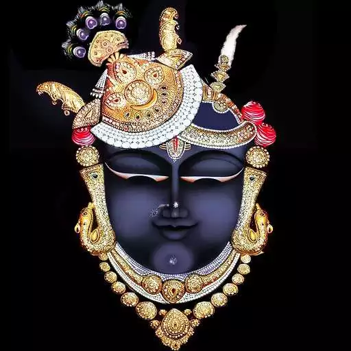 Play Shreeji Darshan APK