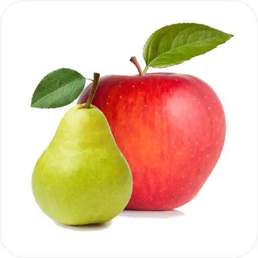 Play Shree Mahalaxmi Shetkari APK