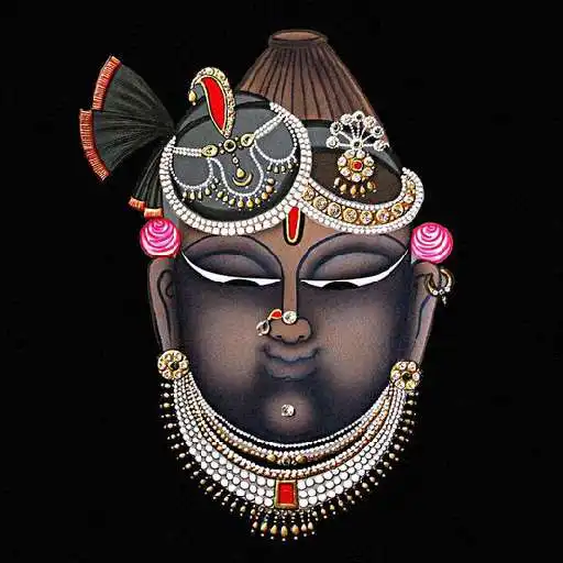 Play Shreenathji Bhajans Aarti APK