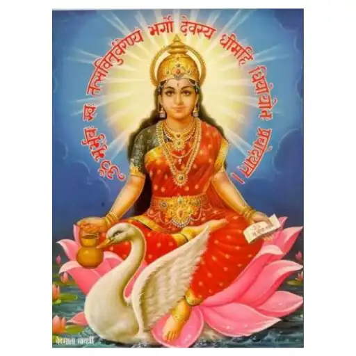 Play Shri Gayatri Shiksha Niketan S APK Play Shri Gayatri Shiksha Niketan S APK