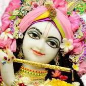 Free play online Shri Hari Darshan - Mayapur APK