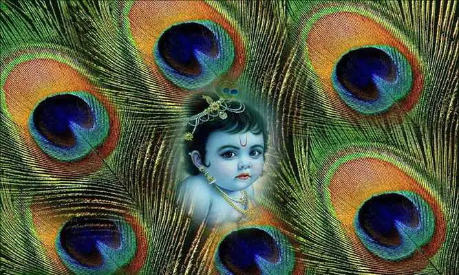 Play Shri Krishn Janmashtami Bhajan