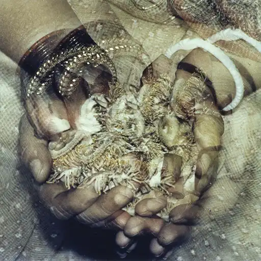 Play ShriMatajiNirmalaDevisRecipes APK