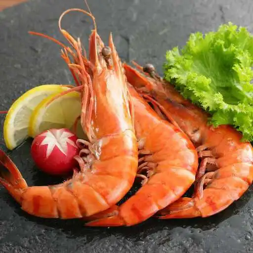 Play Shrimp Wallpaper APK