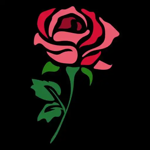 Play Shrub Rose Flower APK Play Shrub Rose Flower APK