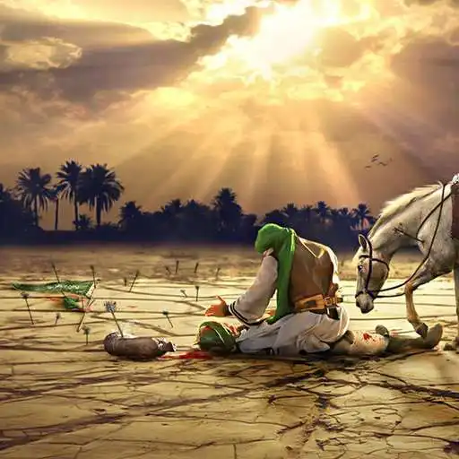 Play shujaabidi.net APK Play shujaabidi.net APK