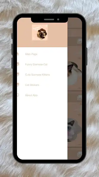 Play Siamese Cat Images  and enjoy Siamese Cat Images with UptoPlay