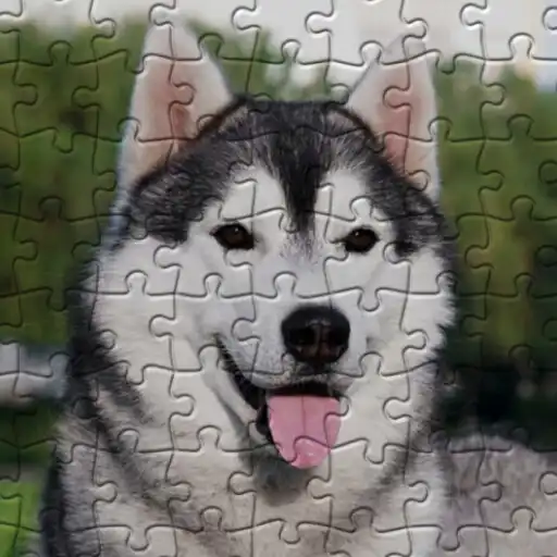 Play Siberian Husky Jigsaw Puzzles APK