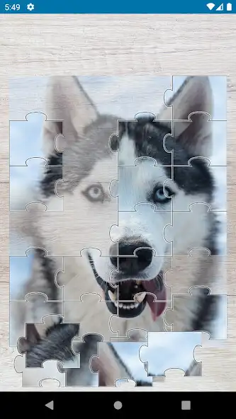 Play Siberian Husky Jigsaw Puzzles as an online game online Siberian Husky Jigsaw Puzzles with UptoPlay Play Siberian Husky Jigsaw Puzzles as an online game Siberian Husky Jigsaw Puzzles with UptoPlay