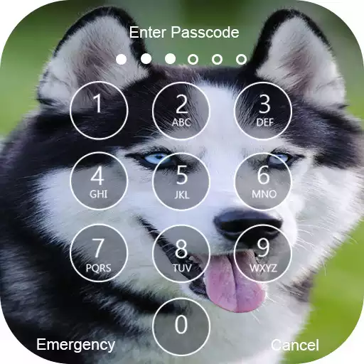 Play Siberian Husky Lock Screen & Wallpapers APK Play Siberian Husky Lock Screen & Wallpapers APK