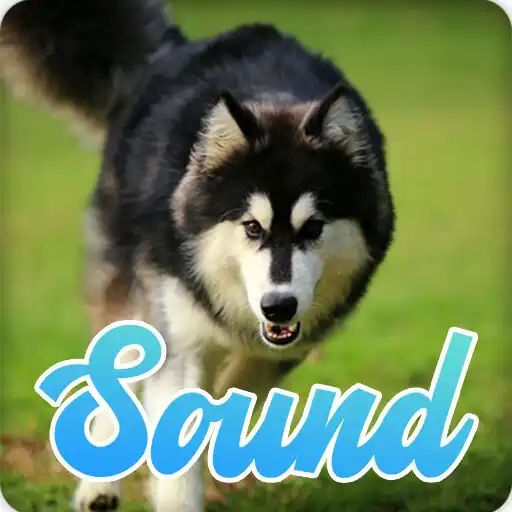Play Siberian Husky Sounds Effect APK