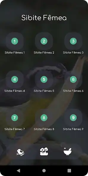Play Sibite Fêmea Chamando and enjoy Sibite Fêmea Chamando with UptoPlay Play Sibite Fêmea Chamando and enjoy Sibite Fêmea Chamando with UptoPlay