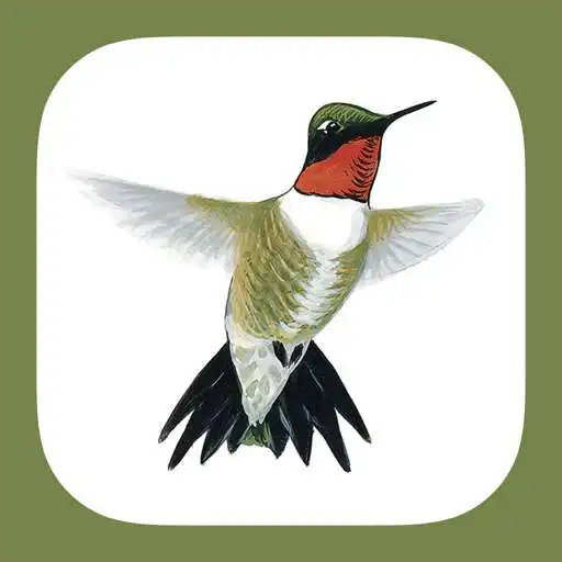Play Sibley Guide to Hummingbirds APK Play Sibley Guide to Hummingbirds APK