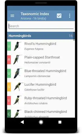 Play Sibley Guide to Hummingbirds as an online game Sibley Guide to Hummingbirds with UptoPlay