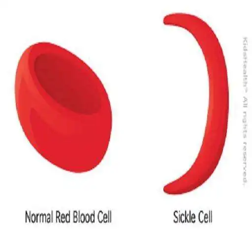 Play Sickle Cell Anemia APK