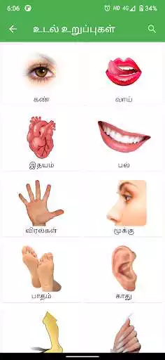 Play Siddha Medicine in Tamil Play Siddha Medicine in Tamil