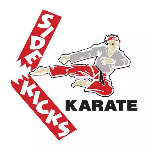 Free play online Side Kicks Karate APK