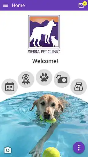 Play Sierra Pet  and enjoy Sierra Pet with UptoPlay