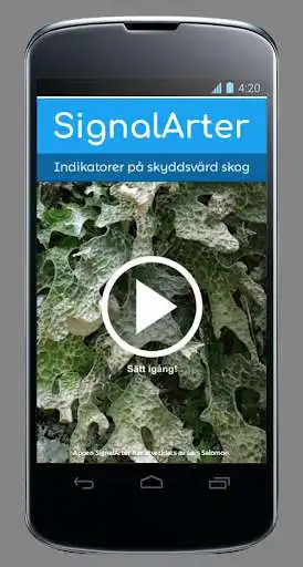 Play Signalarter  and enjoy Signalarter with UptoPlay