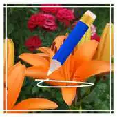 Free play online Signing your photo APK