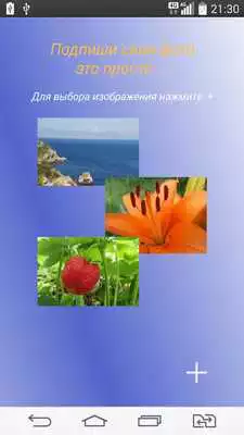 Play Signing your photo