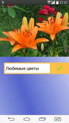 Play Signing your photo