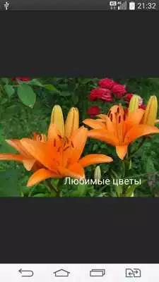 Play Signing your photo