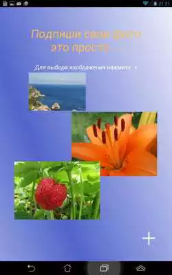 Play Signing your photo