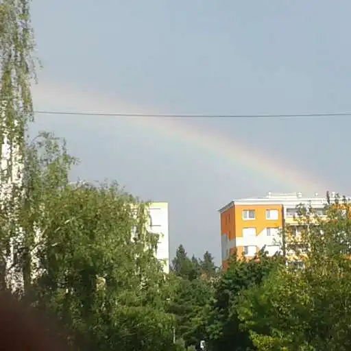 Play Sign in Perfect APK