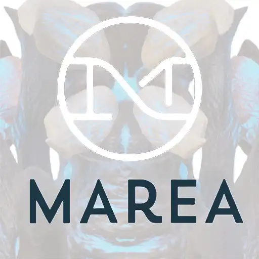 Play SIK - Marea APK Play SIK - Marea APK