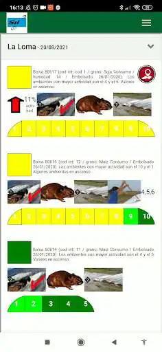 Play Silcheck Informes as an online game Silcheck Informes with UptoPlay