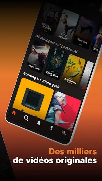 Play Silecs - VOD dapprentissage as an online game Silecs - VOD dapprentissage with UptoPlay