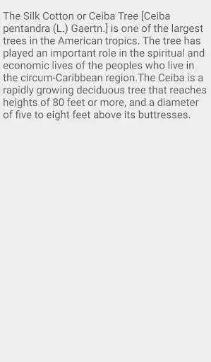 Play Silk Cotton Tree as an online game Silk Cotton Tree with UptoPlay