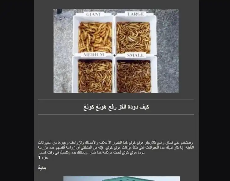 Play silkworm cultivation hongkong as an online game silkworm cultivation hongkong with UptoPlay
