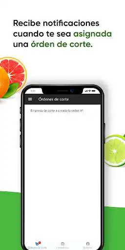 Play Siloc as an online game Siloc with UptoPlay